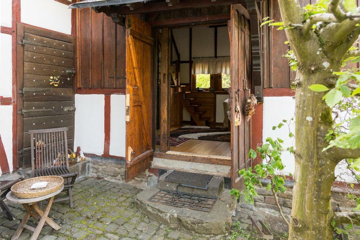 Zwergenschule Villa Wirft Ngoại thất bức ảnh